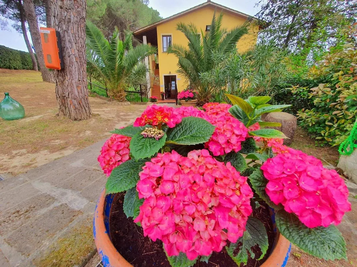 Vakantiepark Toscana Holiday Village Montopoli in Val dʼArno